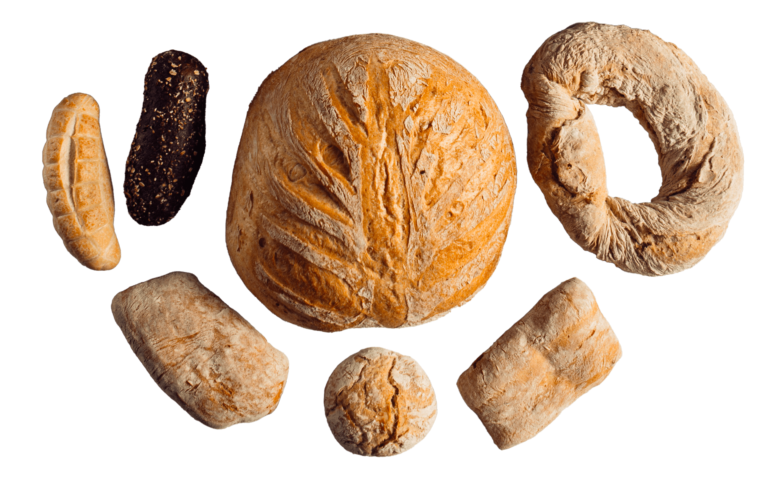 Letizia Condoluci Pane-min